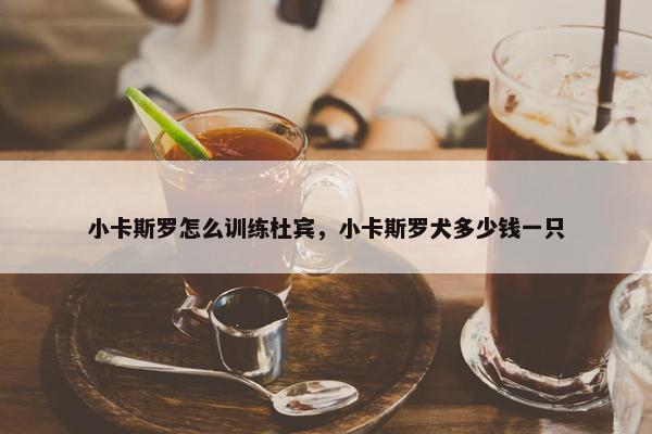 小卡斯罗怎么训练杜宾，小卡斯罗犬多少钱一只