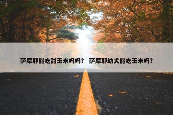 萨摩耶能吃甜玉米吗吗？ 萨摩耶幼犬能吃玉米吗？