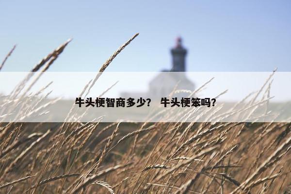 牛头梗智商多少？ 牛头梗笨吗？