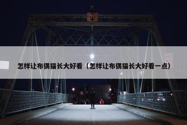 怎样让布偶猫长大好看（怎样让布偶猫长大好看一点）
