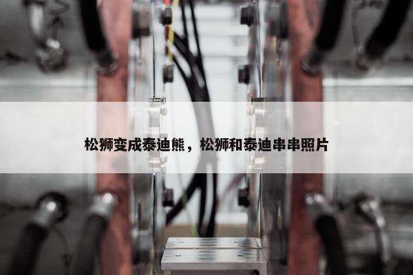 松狮变成泰迪熊，松狮和泰迪串串照片