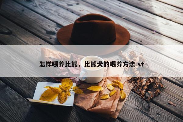 怎样喂养比熊，比熊犬的喂养方法 sf