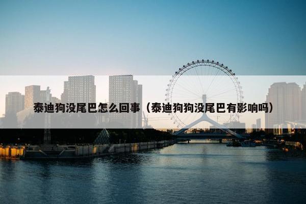 泰迪狗没尾巴怎么回事（泰迪狗狗没尾巴有影响吗）