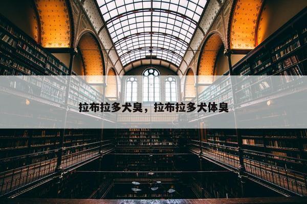 拉布拉多犬臭，拉布拉多犬体臭