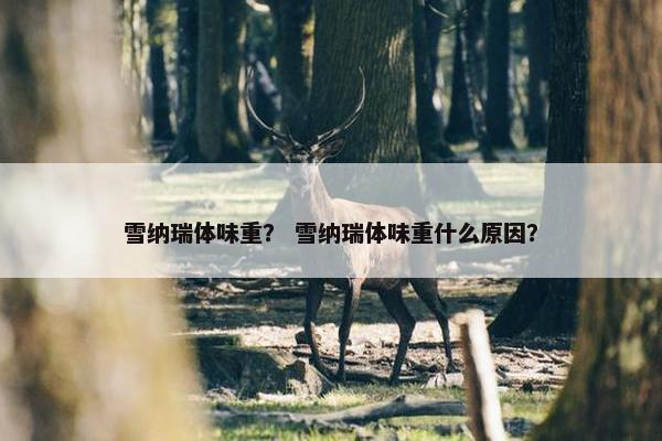 雪纳瑞体味重？ 雪纳瑞体味重什么原因？
