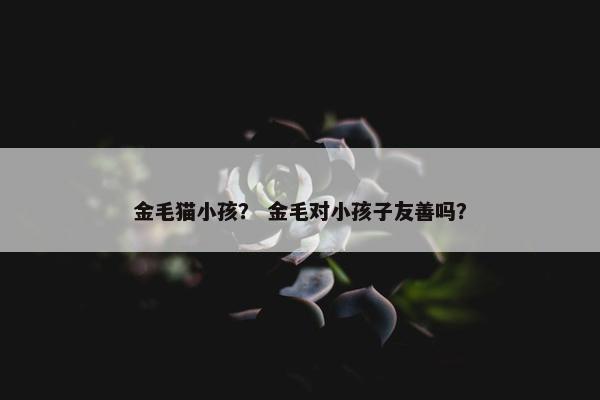金毛猫小孩？ 金毛对小孩子友善吗？