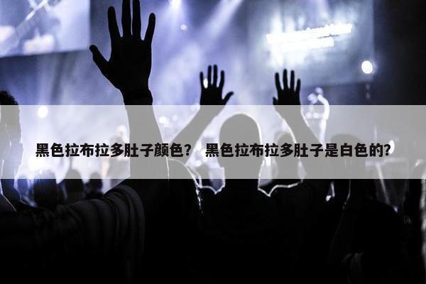黑色拉布拉多肚子颜色？ 黑色拉布拉多肚子是白色的？