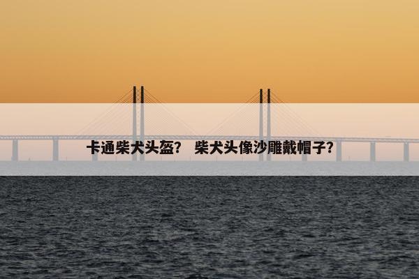 卡通柴犬头盔？ 柴犬头像沙雕戴帽子？