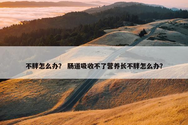 不胖怎么办？ 肠道吸收不了营养长不胖怎么办？