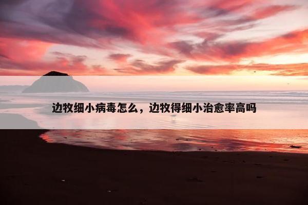 边牧细小病毒怎么，边牧得细小治愈率高吗
