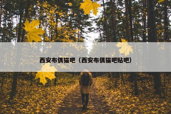 西安布偶猫吧（西安布偶猫吧贴吧）