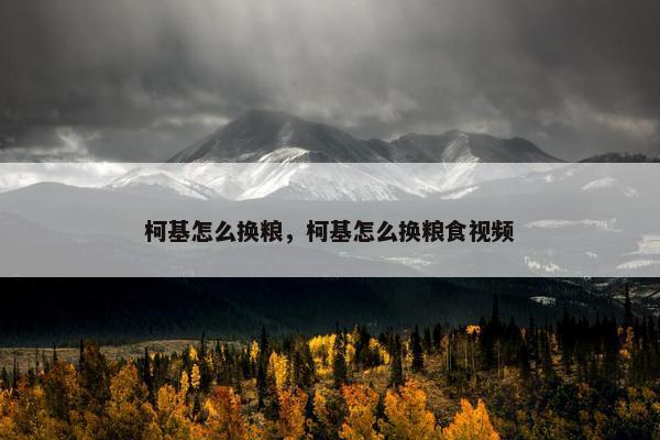 柯基怎么换粮，柯基怎么换粮食视频