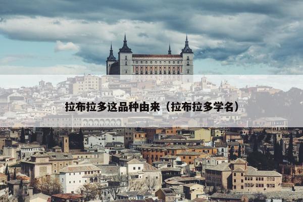 拉布拉多这品种由来（拉布拉多学名）
