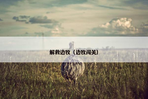 解救边牧（边牧闯关）
