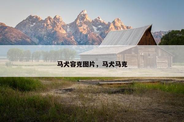 马犬容克图片，马犬马克