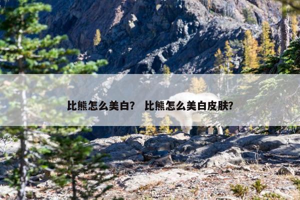 比熊怎么美白？ 比熊怎么美白皮肤？
