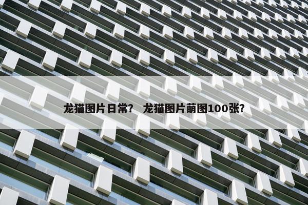 龙猫图片日常？ 龙猫图片萌图100张？