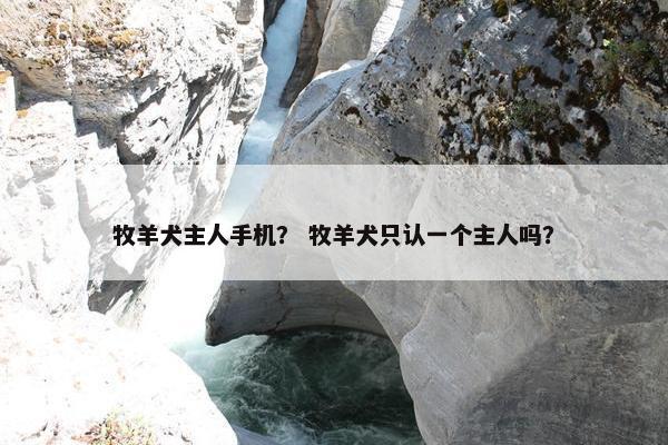 牧羊犬主人手机？ 牧羊犬只认一个主人吗？