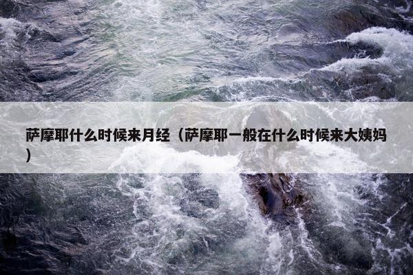 萨摩耶什么时候来月经（萨摩耶一般在什么时候来大姨妈）