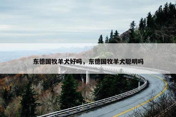 东德国牧羊犬好吗，东德国牧羊犬聪明吗