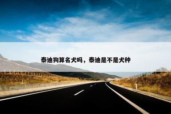 泰迪狗算名犬吗，泰迪是不是犬种