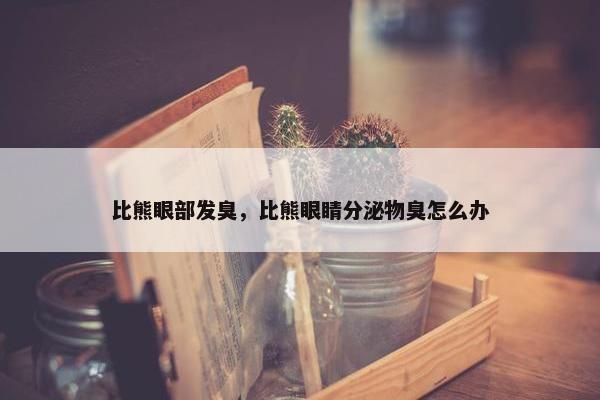 比熊眼部发臭，比熊眼睛分泌物臭怎么办