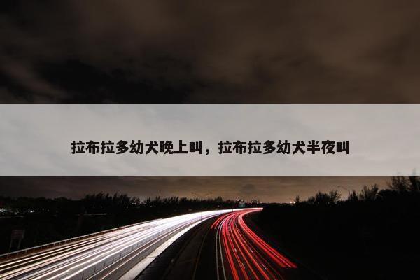 拉布拉多幼犬晚上叫，拉布拉多幼犬半夜叫