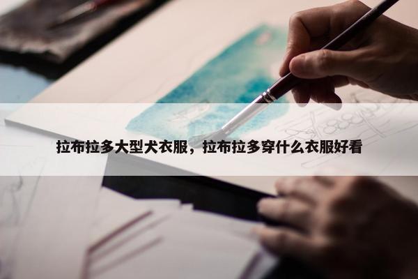 拉布拉多大型犬衣服，拉布拉多穿什么衣服好看
