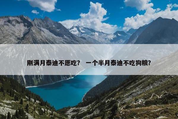 刚满月泰迪不愿吃？ 一个半月泰迪不吃狗粮？