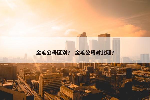 金毛公母区别？ 金毛公母对比照？