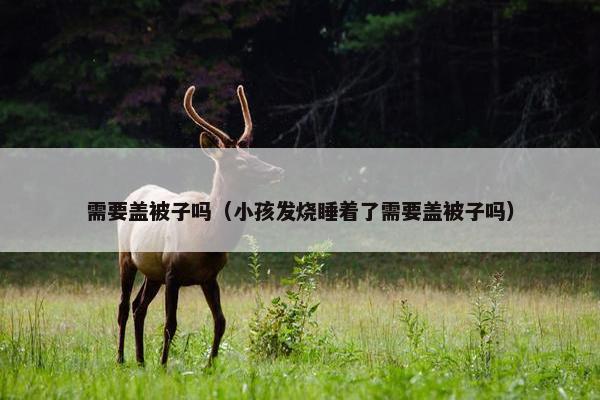 需要盖被子吗（小孩发烧睡着了需要盖被子吗）