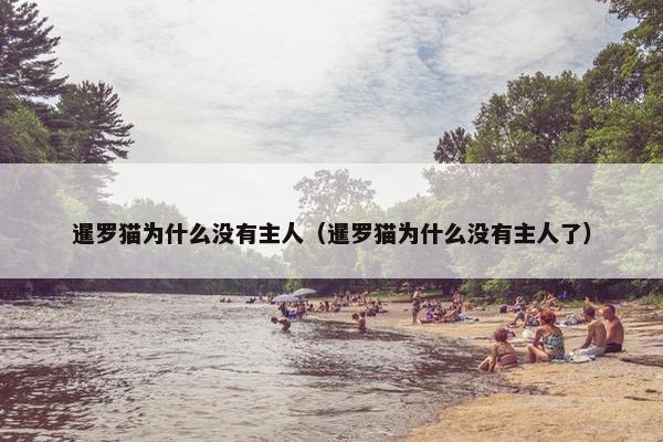暹罗猫为什么没有主人（暹罗猫为什么没有主人了）
