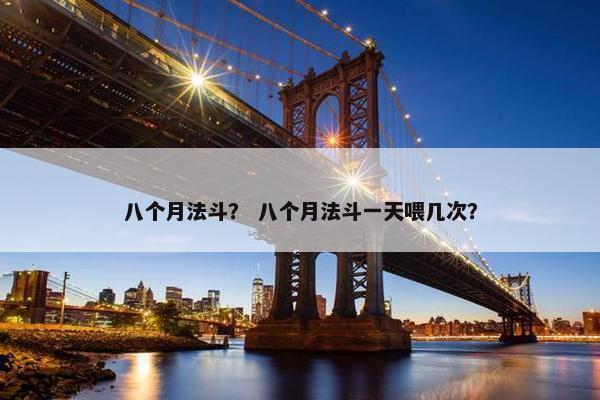 八个月法斗？ 八个月法斗一天喂几次？