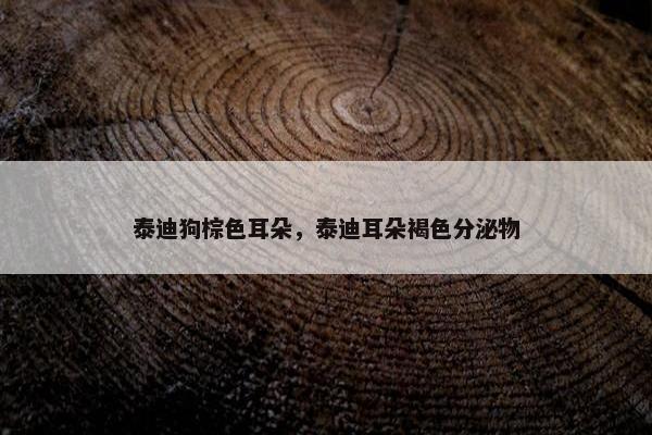 泰迪狗棕色耳朵，泰迪耳朵褐色分泌物