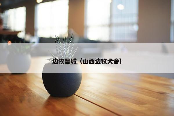 边牧晋城（山西边牧犬舍）
