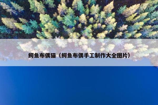 鳄鱼布偶猫（鳄鱼布偶手工制作大全图片）