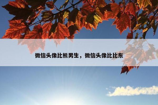 微信头像比熊男生，微信头像比比东