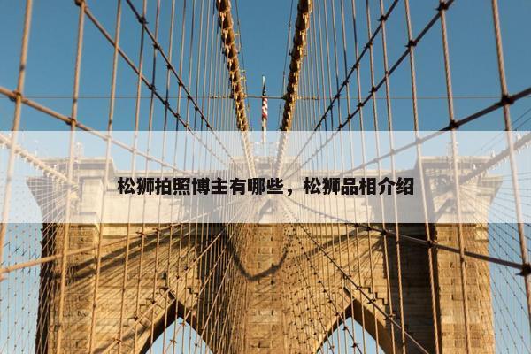 松狮拍照博主有哪些，松狮品相介绍