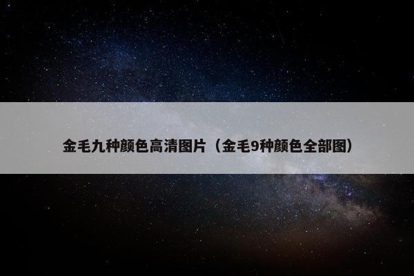 金毛九种颜色高清图片（金毛9种颜色全部图）