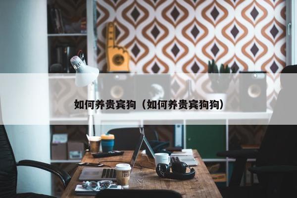 如何养贵宾狗（如何养贵宾狗狗）