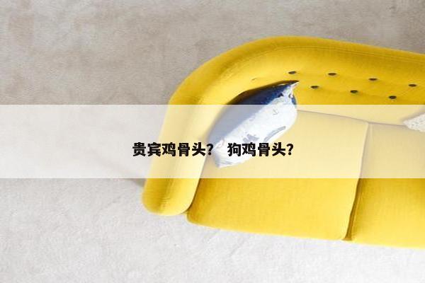 贵宾鸡骨头？ 狗鸡骨头？