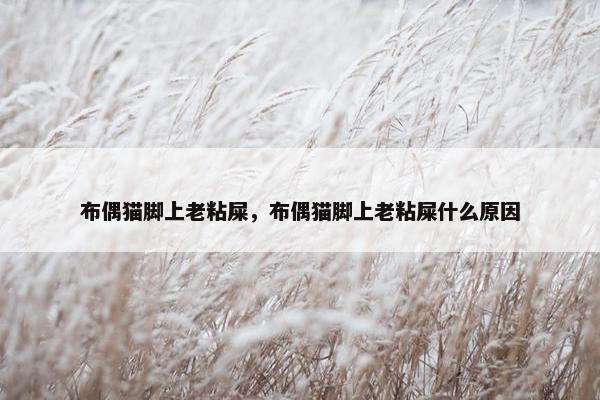 布偶猫脚上老粘屎，布偶猫脚上老粘屎什么原因