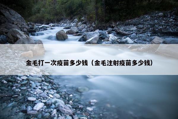 金毛打一次疫苗多少钱（金毛注射疫苗多少钱）