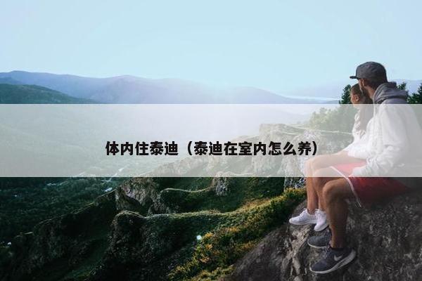 体内住泰迪（泰迪在室内怎么养）