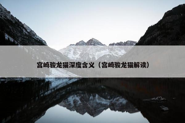 宫崎骏龙猫深度含义（宫崎骏龙猫解读）