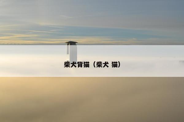 柴犬背猫（柴犬 猫）