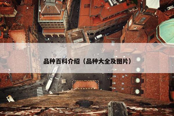 品种百科介绍（品种大全及图片）