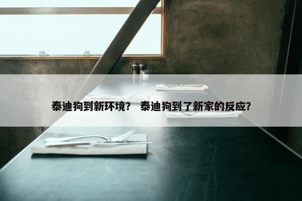 泰迪狗到新环境？ 泰迪狗到了新家的反应？