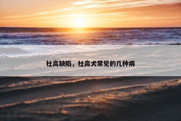 杜高缺陷，杜高犬常见的几种病