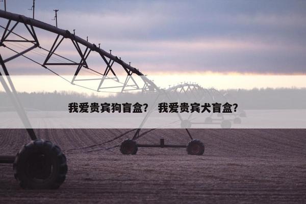 我爱贵宾狗盲盒？ 我爱贵宾犬盲盒？
